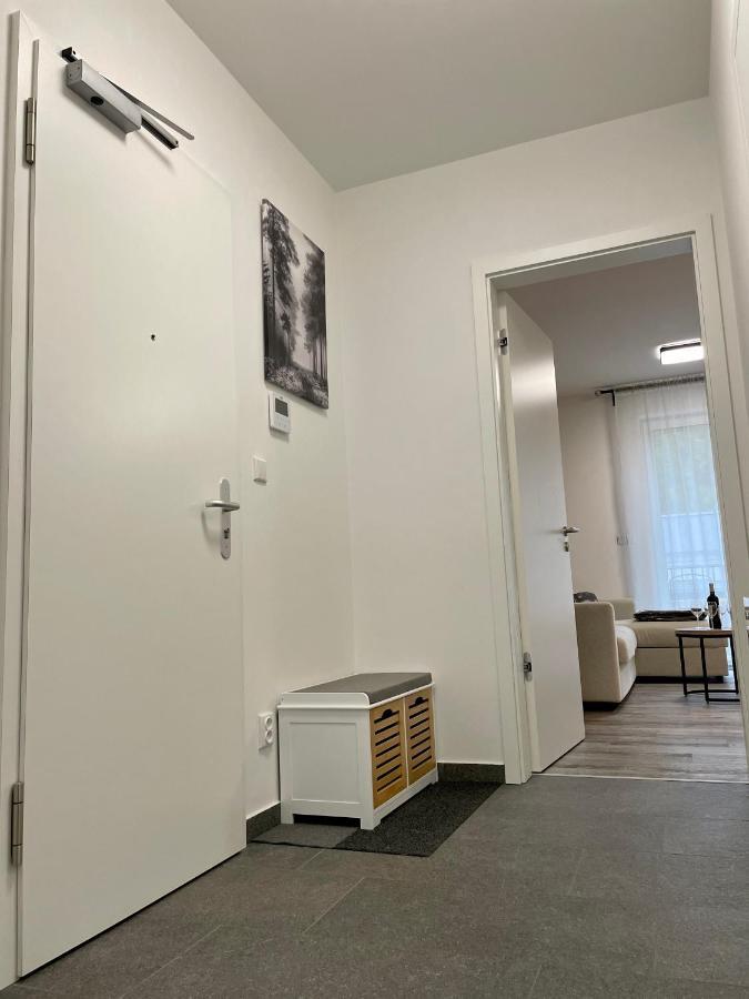 Apartman Pod Sneznikem โดลนี โมราวา ภายนอก รูปภาพ